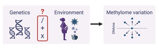 Gene-environment contribution to early life DNA methylation