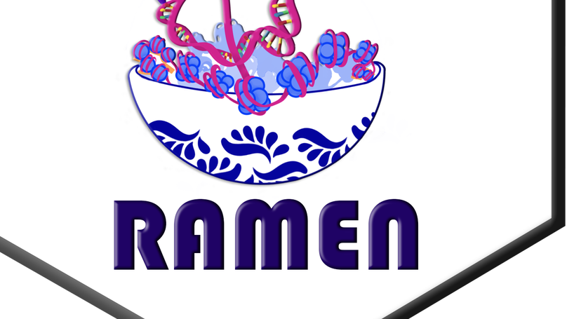 RAMEN: Dissecting individual, additive and interactive gene-environment contributions to DNA methylome variability in cord blood